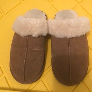 Bearpaw Slippers